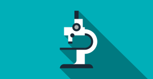 Aufbewahrungsfristen 2023/2024